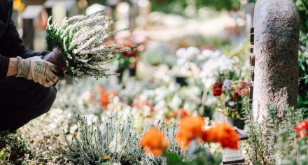 dsc00855 (1) dsc00855 (1)