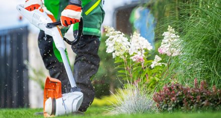 services-2 services 2